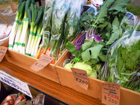 野菜の販売