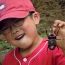 カブトムシ王になろう! in下田農場